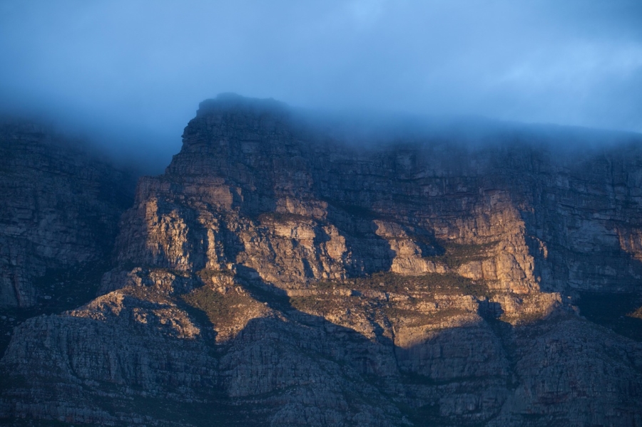 To Let 0 Bedroom Property for Rent in Vredehoek Western Cape